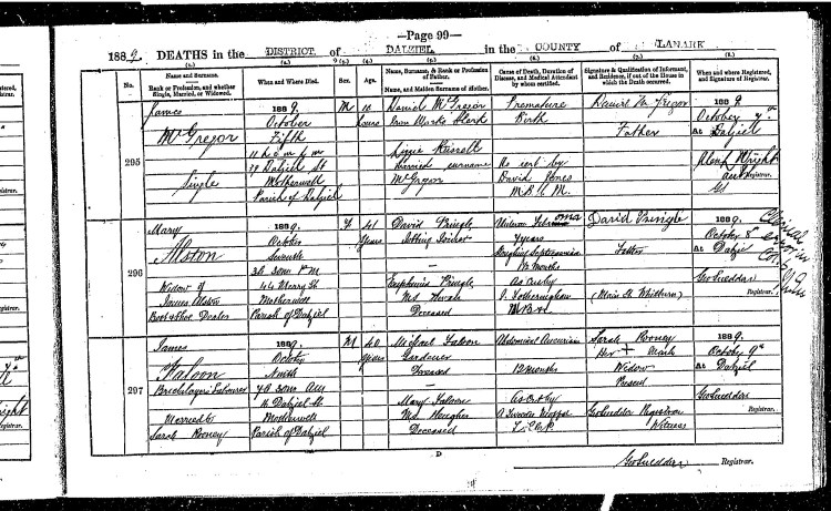 Handwritten entry in the register of deaths in the district of Dalziel for the year of 1889 in respect of James Falloon.